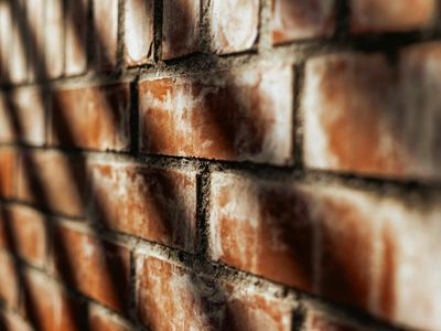 Soft morning light hitting a white brick wall